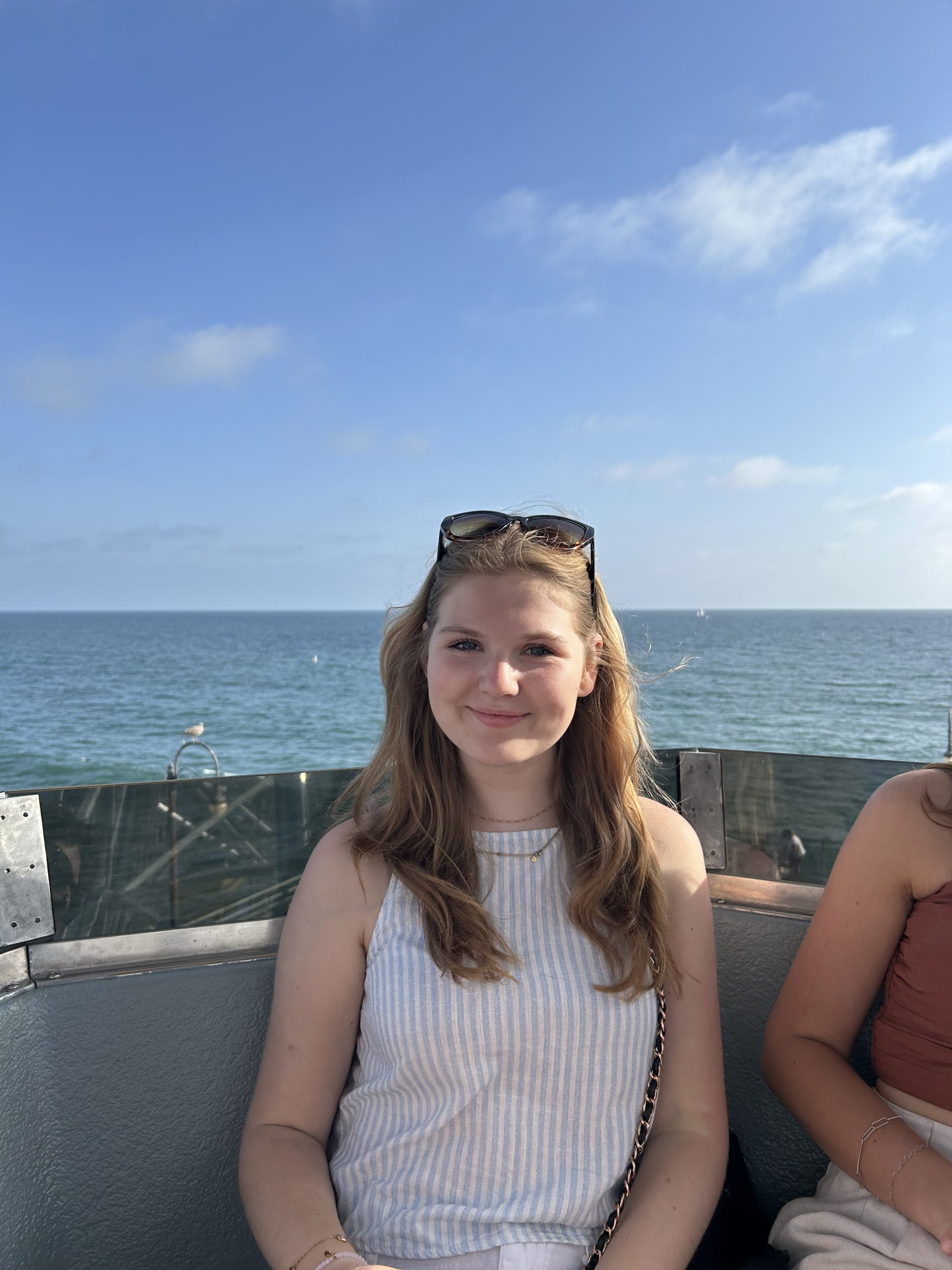 Portfolio Mimosa Melis